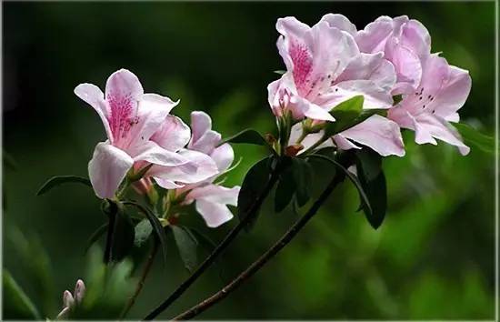 厦门可以爬的山有哪些地方,厦门这些景点你都去过吗