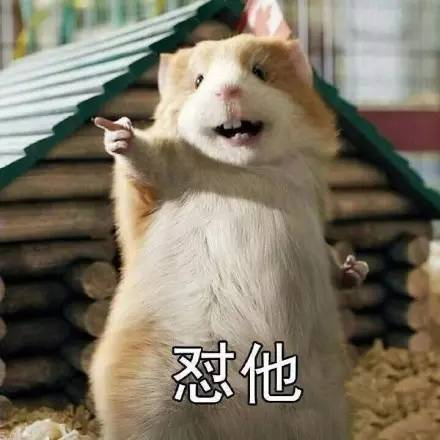 今天这只偷花生的老鼠火了，网友这次都站老鼠