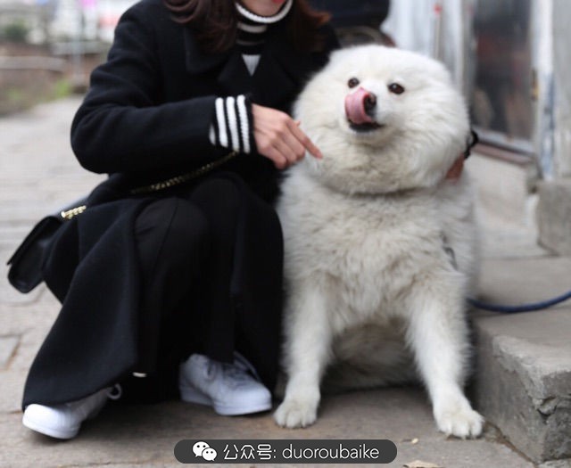 回忆之旅最适合带的植物,野外旅游必须记住的植物