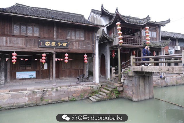 回忆之旅最适合带的植物,野外旅游必须记住的植物