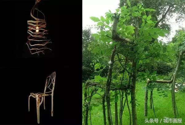 这个英国大叔从地里“种”出了一把椅子，价值2万多！
