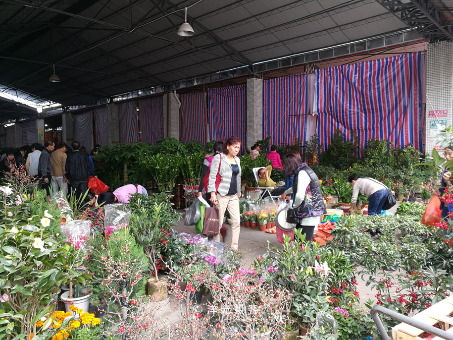 番禺各个镇大集时间表,广州去清远农村赶集