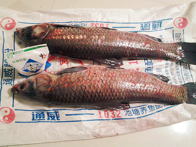 骞磋揣楸肩殑鑵屽埗鏂规硶,骞磋揣鑵屽埗鍜搁奔