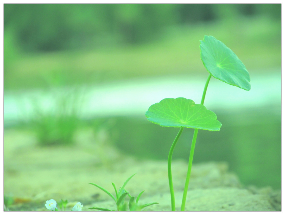 近视的人伤不起，都看看如何有效治疗控制近视
