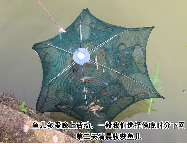 快速捕到鱼的方法,怎么捕野生鱼最好吃