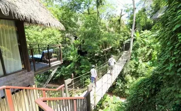 楦熷发搴﹀亣閰掑簵浣撻獙,闅愯棌鍦ㄥ師濮嬫．鏋楃殑娴峰崡楦熷发閰掑簵