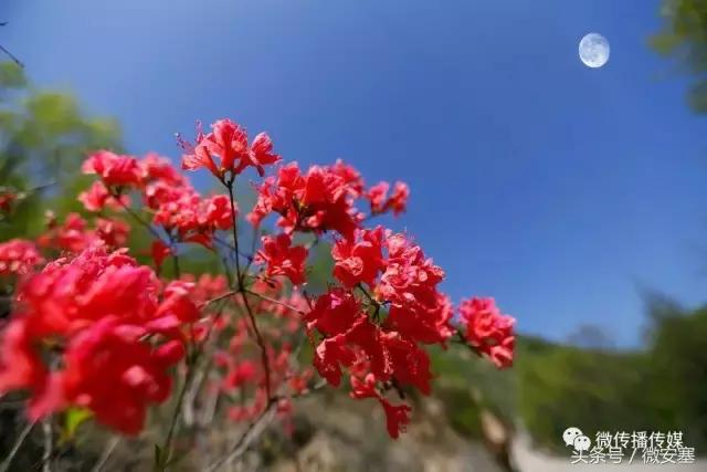 霍爱英:明月如初