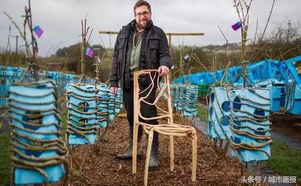这个英国大叔从地里“种”出了一把椅子，价值2万多！