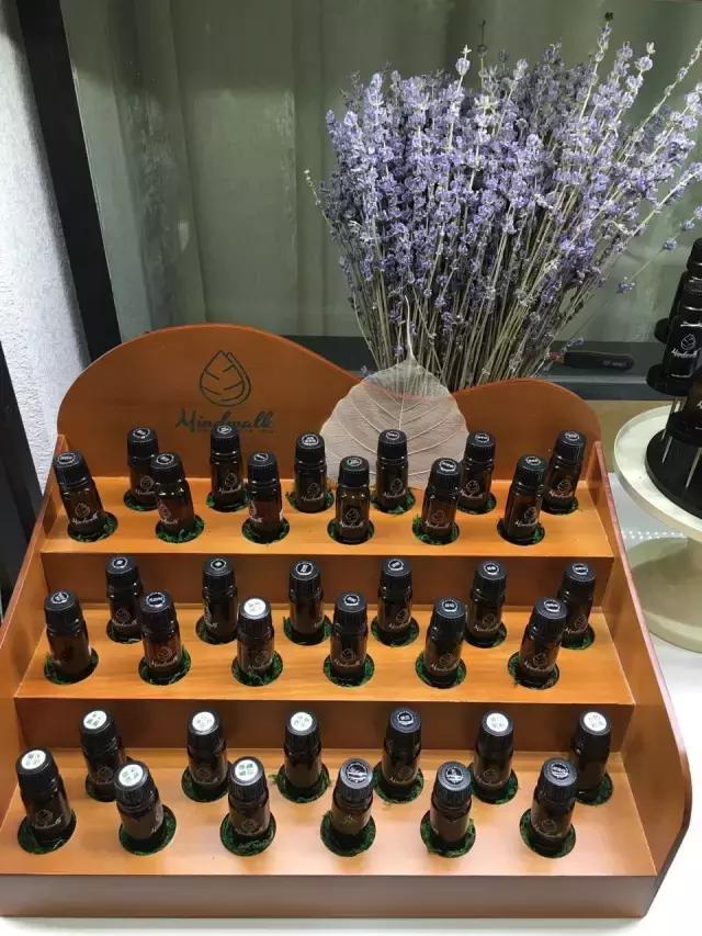 庄缇|“健康春节”系列——胃胀气怎么办？