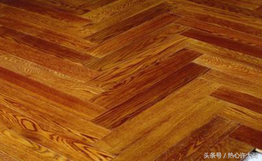 实木地板里面爬出虫子怎么办,装修完家里进虫子