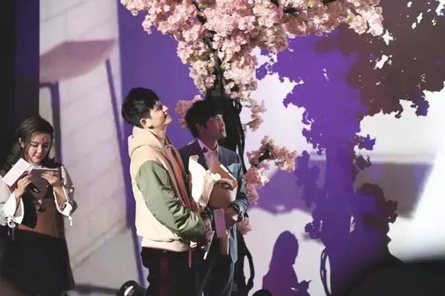 马可寻找前世之旅照片,寻找前世之旅马可