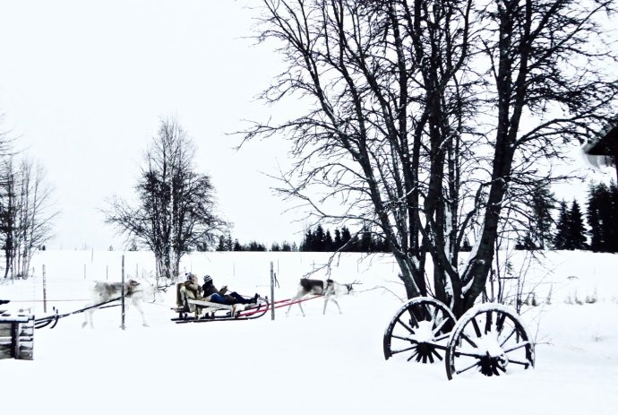 雪地桑拿和裸奔，北极光啊我等到花儿也谢了