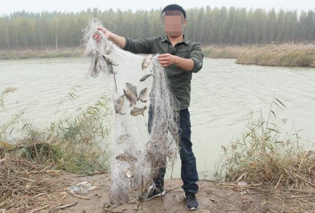 快速捕到鱼的方法,怎么捕野生鱼最好吃