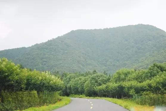 常州农家乐一日游最佳去处带娃,常州好玩的农家乐酒店