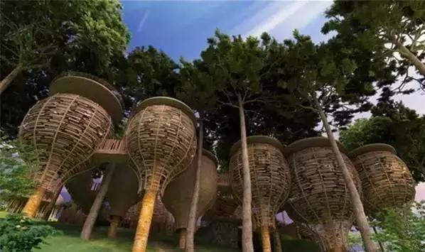 楦熷发搴﹀亣閰掑簵浣撻獙,闅愯棌鍦ㄥ師濮嬫．鏋楃殑娴峰崡楦熷发閰掑簵