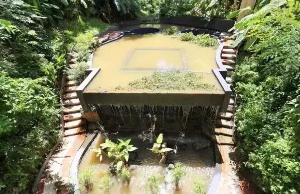 楦熷发搴﹀亣閰掑簵浣撻獙,闅愯棌鍦ㄥ師濮嬫．鏋楃殑娴峰崡楦熷发閰掑簵