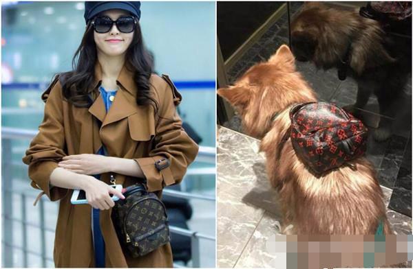 这炫富方式绝了！唐嫣LV包、权志龙天价项链都被王思聪的狗怼了