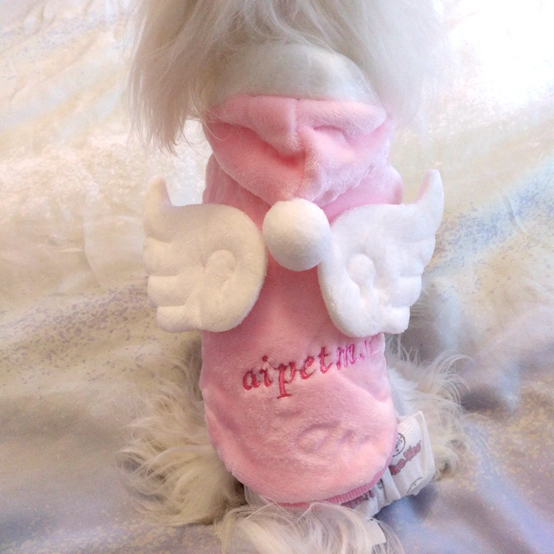 你家猫给你带了什么家具,你给家人准备年货了吗