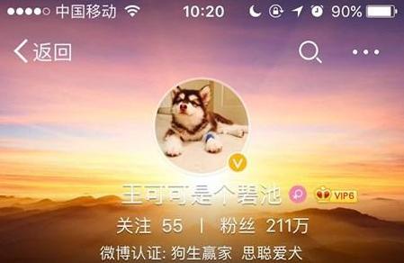 这炫富方式绝了！唐嫣LV包、权志龙天价项链都被王思聪的狗怼了