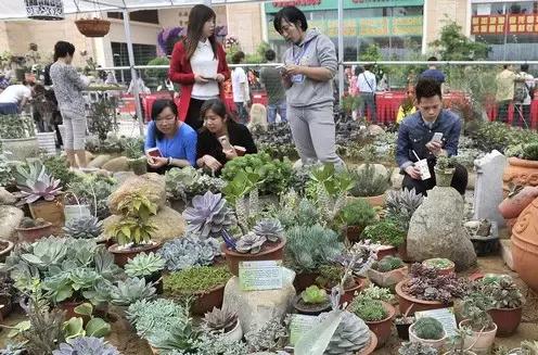 福州人买家具去哪里,福州过年哪里购买年货