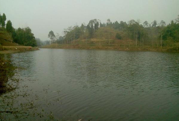 儿子买的鱼竿,钓友公认最好日本5.4米鱼竿