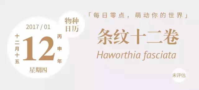 能抵御辐射的植物,最好的防辐射植物