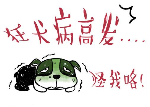 孩子被狗狗抓伤需要打狂犬疫苗吗,孩子被狗抓伤用打疫苗吗