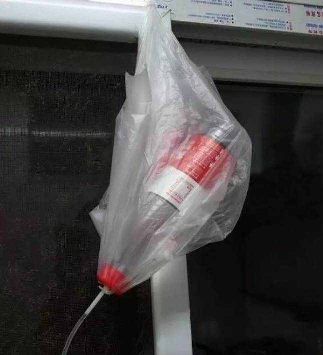 外出旅游家里的花没人浇水怎么办,出差家里花没人浇水怎么办