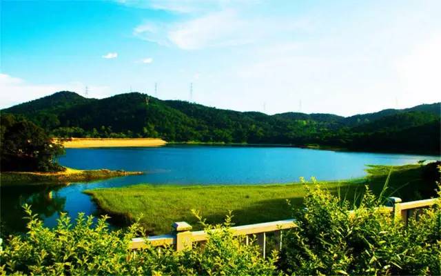 厦门可以爬的山有哪些地方,厦门这些景点你都去过吗