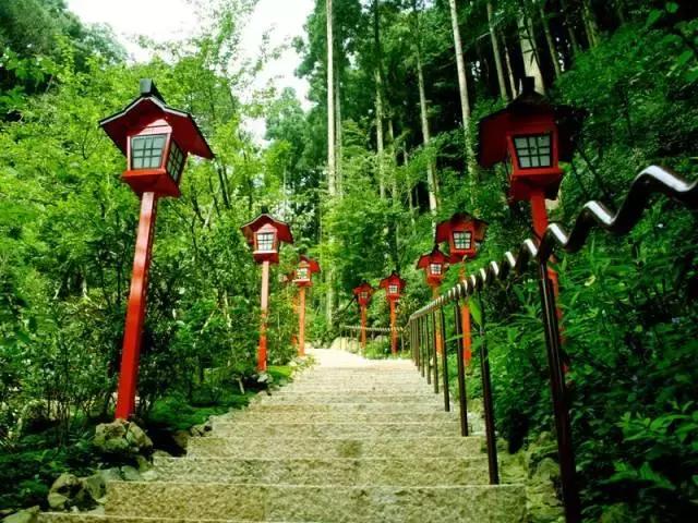 买特价飞机票攻略,买特价机票关注事项