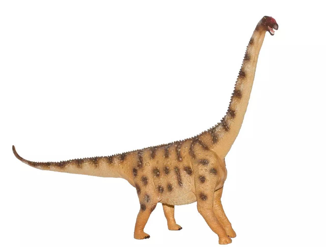 绝对不能让妈妈发现的十款玩具,生命中重要的玩具