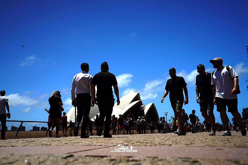 悉尼旅游攻略网红,怎么攻略悉尼