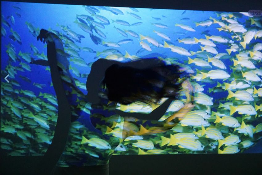 閰蜂箰瑙唓6s3s4鎶曞奖,閰蜂箰瑙唖3鎶曞奖