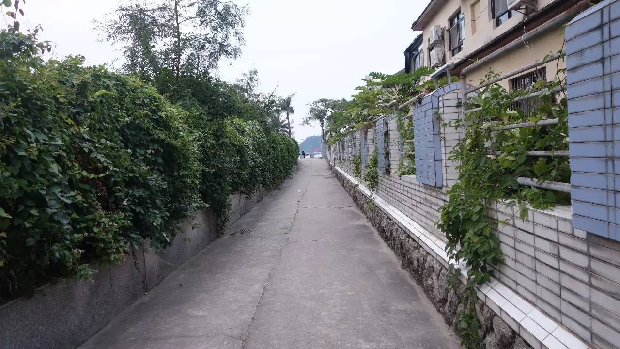 鼓浪屿真的值得去吗,鼓浪屿还敢去玩吗