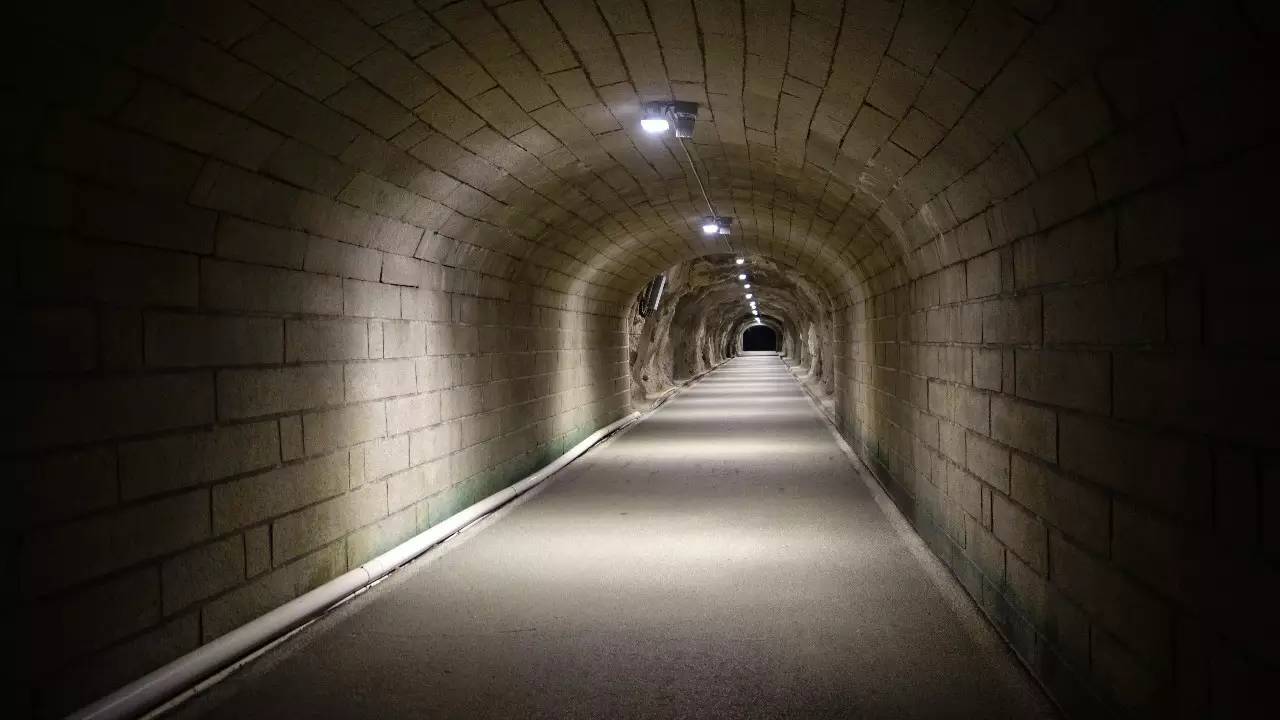 鼓浪屿真的值得去吗,鼓浪屿还敢去玩吗