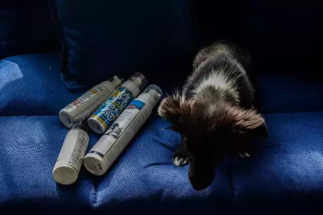 免洗泡沫推荐,免洗泡沫