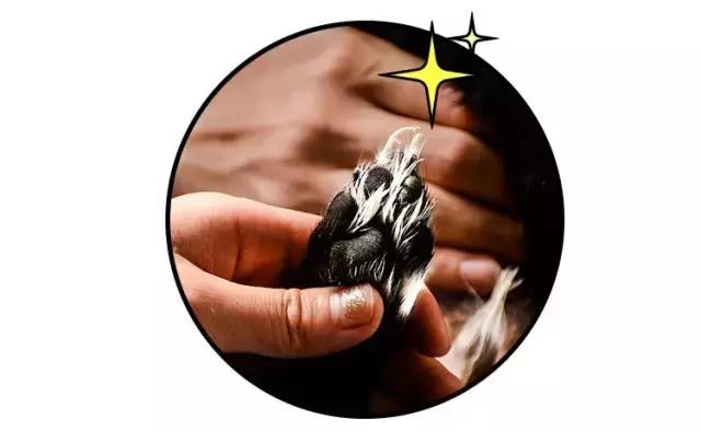 免洗泡沫推荐,免洗泡沫