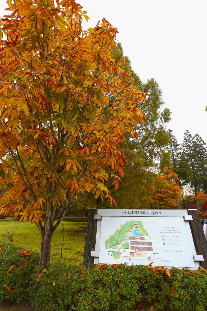 冬日和闺蜜出游,3天2夜的温泉之旅