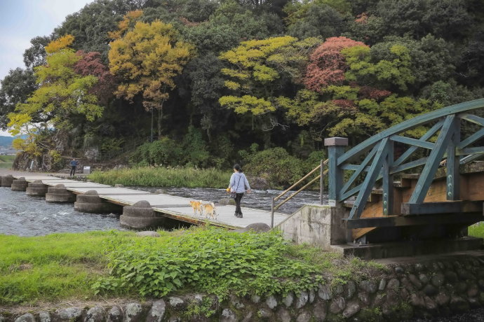 冬日和闺蜜出游,3天2夜的温泉之旅