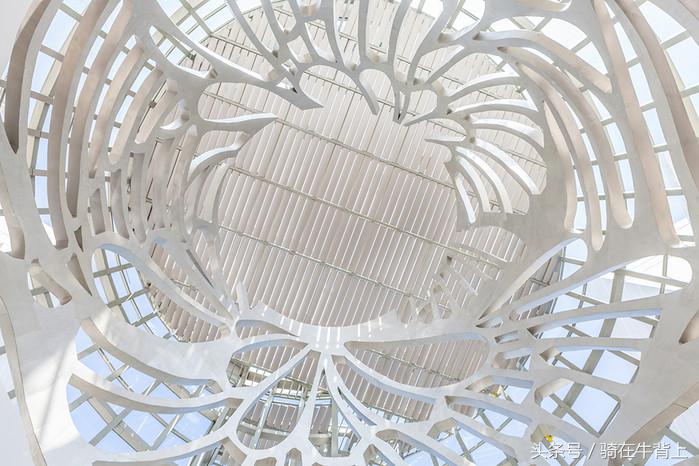 三亚美高梅度假酒店附近旅游路线,三亚美高梅度假亲子体验