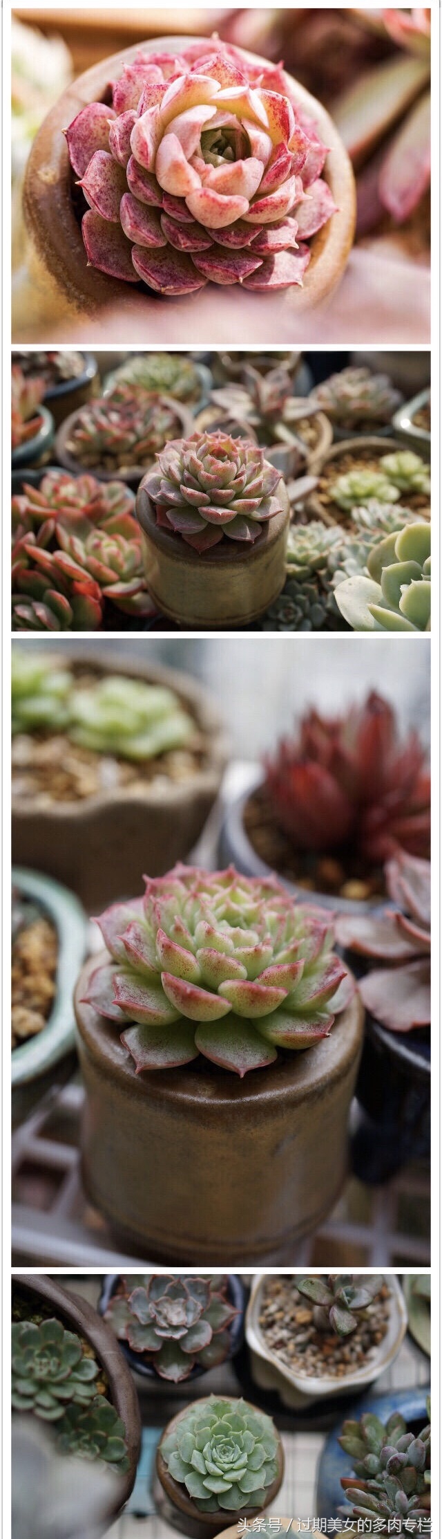 最爱对比图！对比后更惊艳！