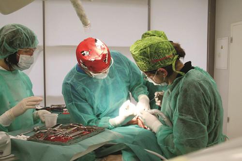 上海齿科推荐,国内最高端的齿科诊所