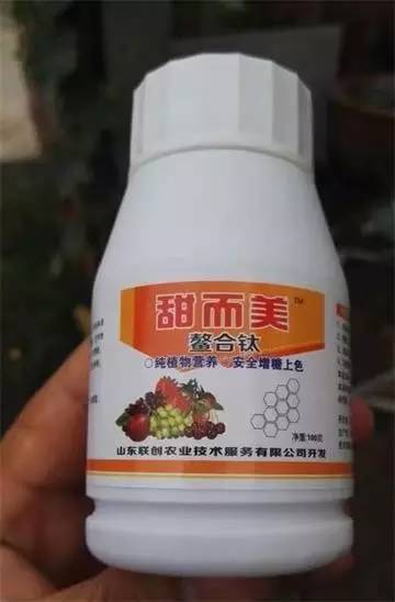 维纳斯苹果苦痘病为什么严重,苹果苦痘病症状及发生原因