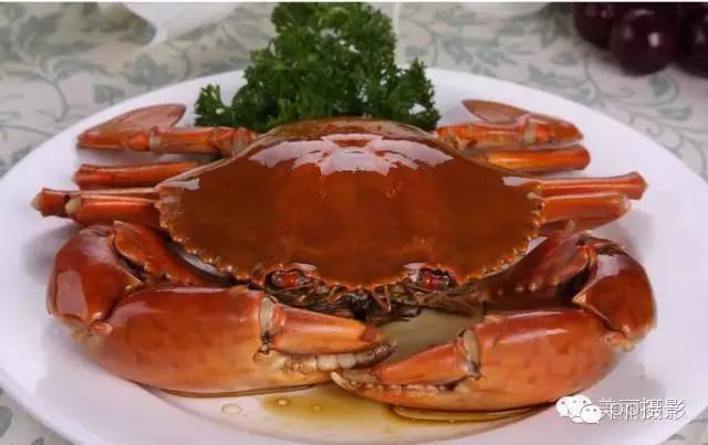 2017年霞浦“海鲜年历”出炉，你知道现在该吃什么吗？