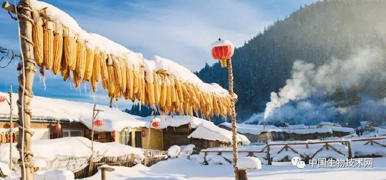 维生素d可以预防失眠吗,慢性肾病如何服用维生素d