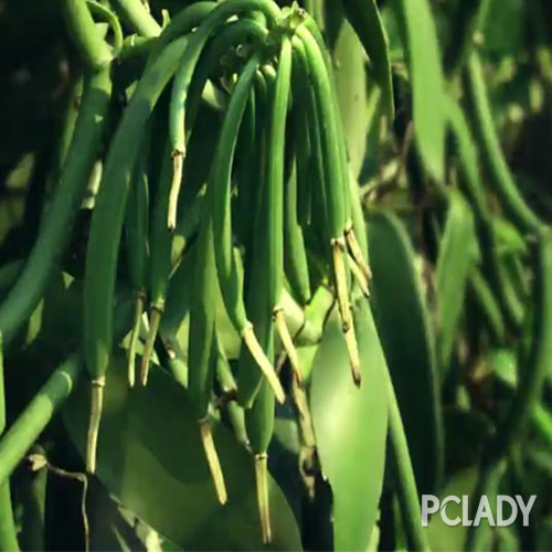 护肤产品黄金油,护肤黄金油