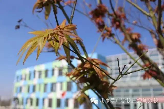 北京景山曹妃甸分校是重点吗,北京景山学校曹妃甸分校怎么样