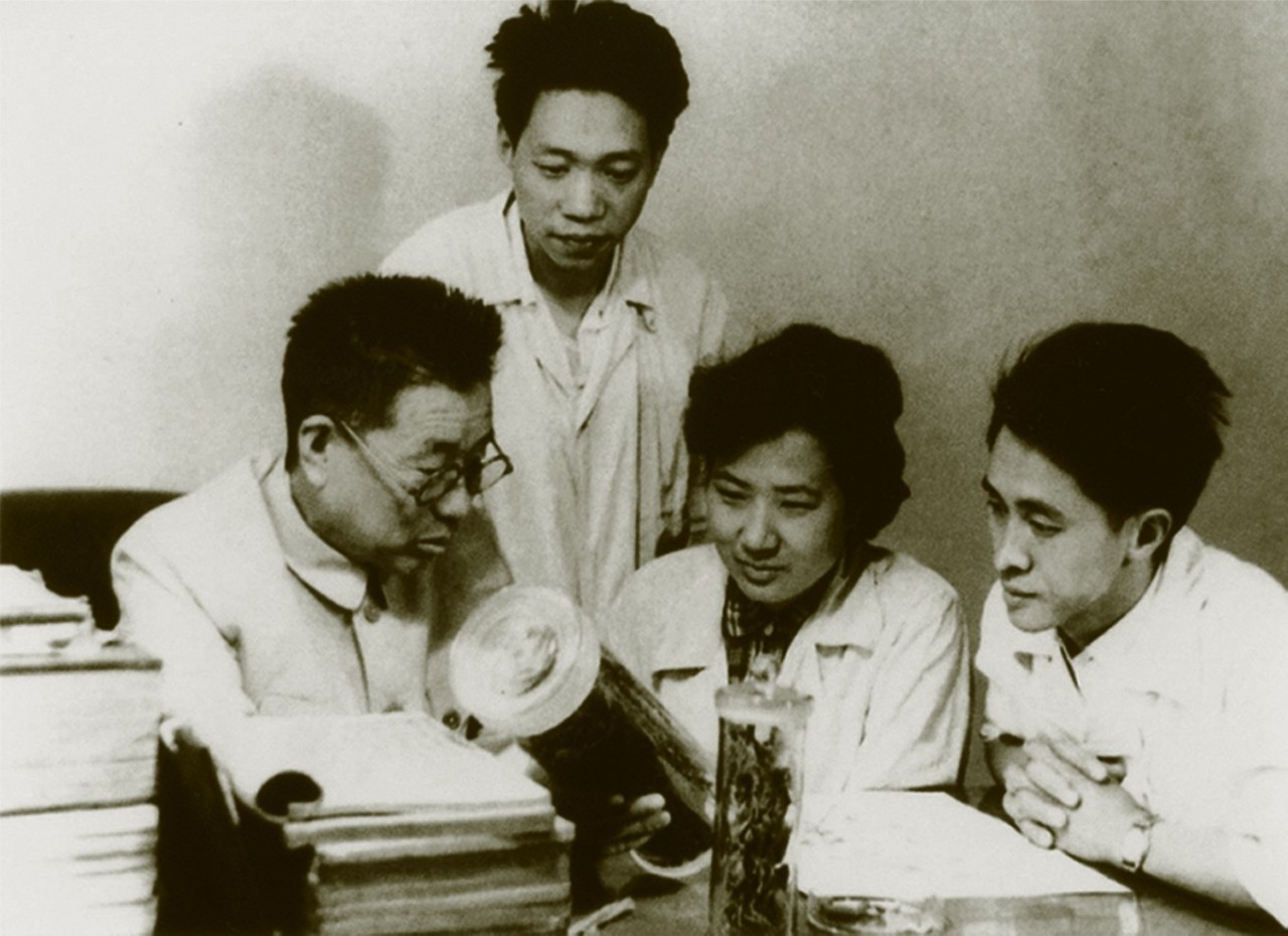 国医大师陈可冀,陈可冀院士全部视频