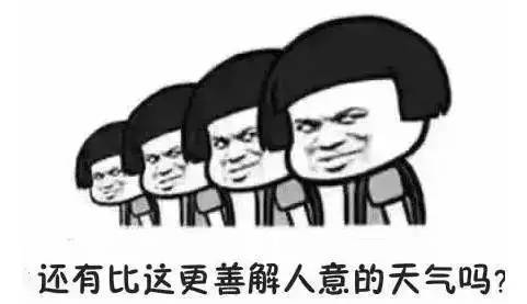 新焦点最新信息,新焦点之战
