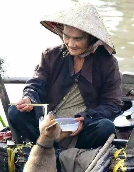 手机里最值得你怀念的照片,怀念手机里仅存最珍贵的照片